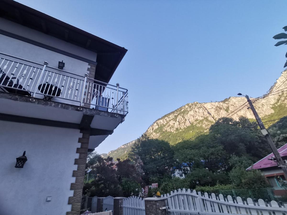 Casa Papava Ξενοδοχείο Băile Herculane Εξωτερικό φωτογραφία